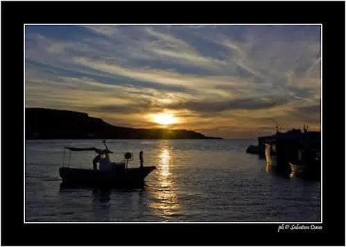 Primo Piano Riccio Locazione Turistica Daire Trapani İtalya